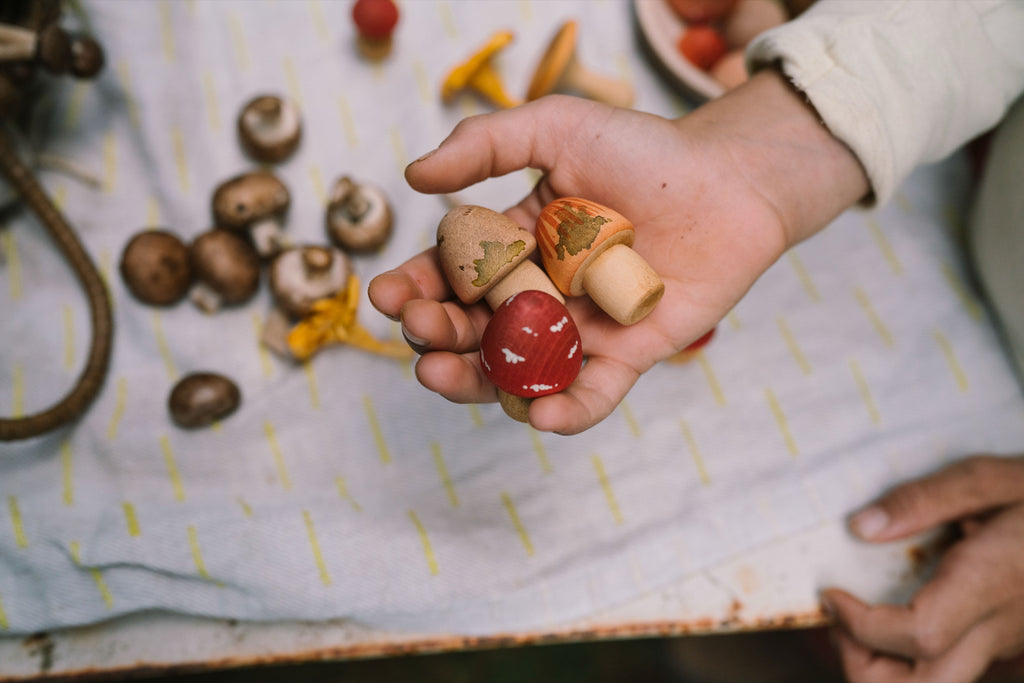Three Grapat wooden mushrooms resting in a child's hand