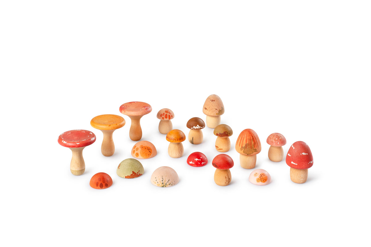 Grapat Mushroom Grove wooden mushrooms in assorted shapes