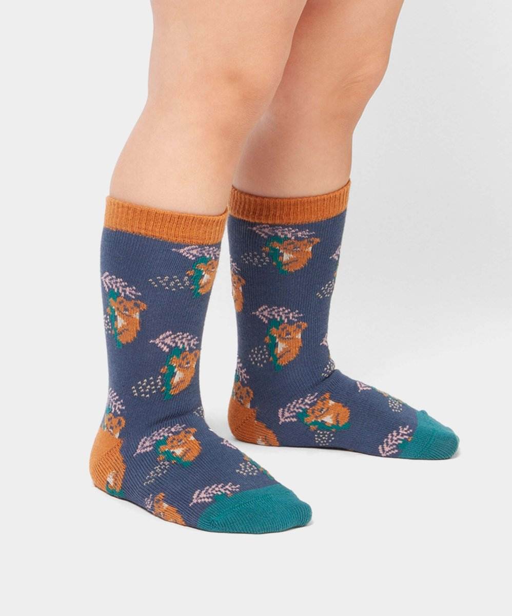 Lil Comfy Koala children’s socks by DillySocks
